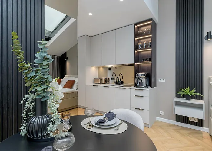 Stylish Volta Quarter With Ac Appartement